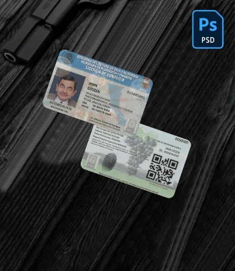 Mexico Baja California driving license PSD